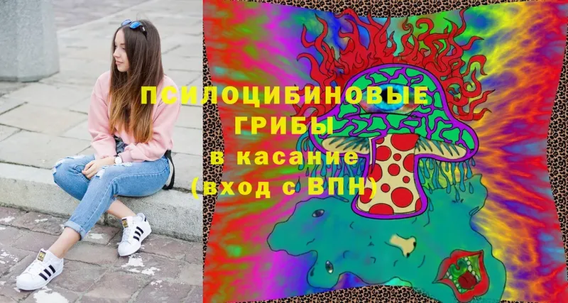 Галлюциногенные грибы Magic Shrooms  Западная Двина 